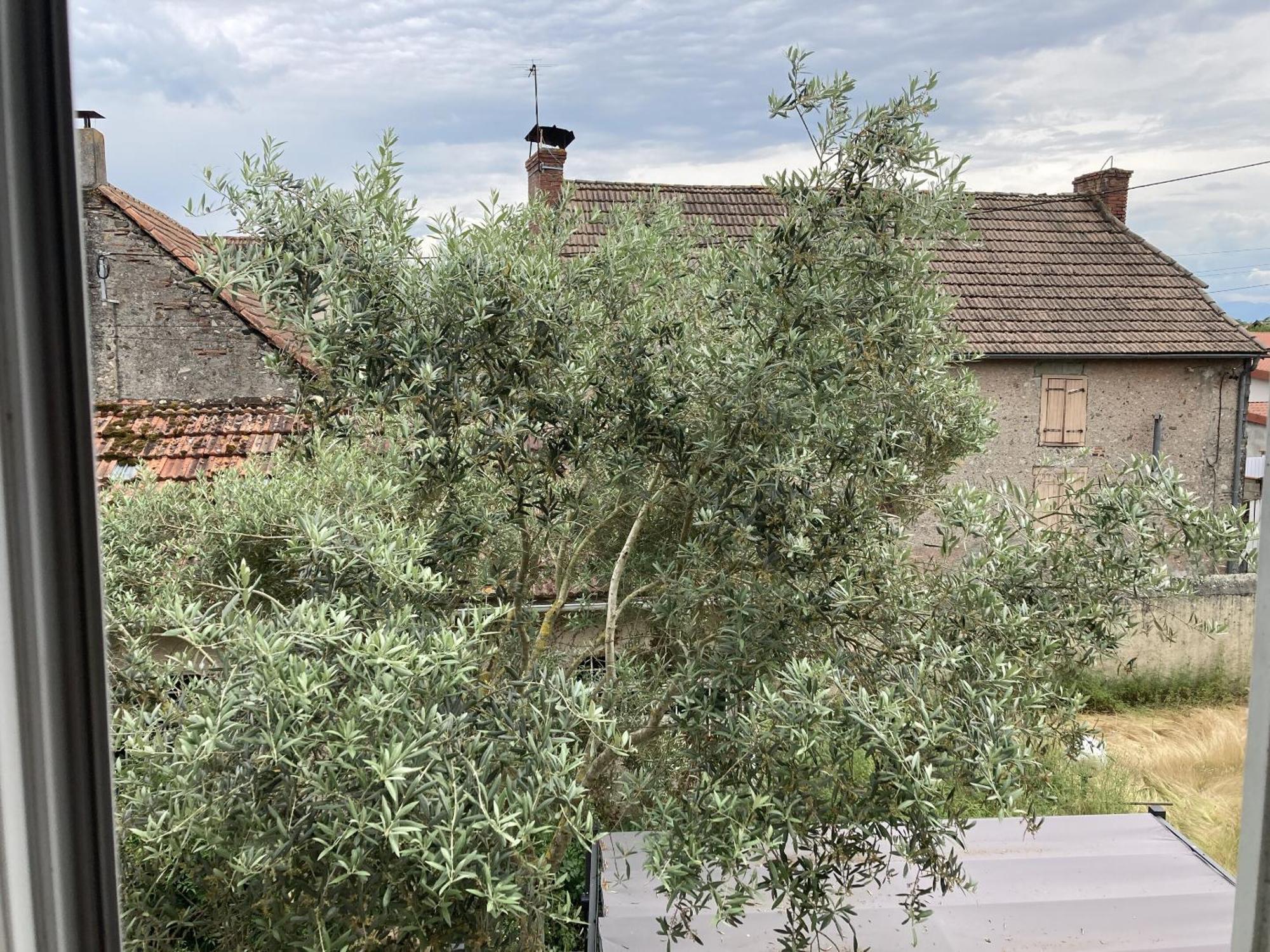Borderes-sur-l'Echez Location Appartement Des Pyrenees חדר תמונה